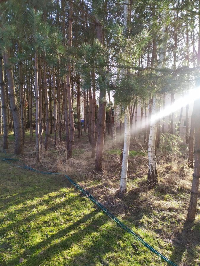 Wiejska Chata U Emili Koszele  Bagian luar foto